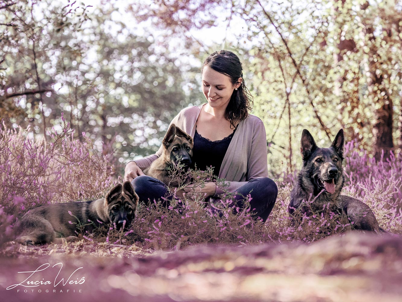 Schäferhunde mit Carina